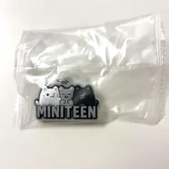 miniteen ぷっくりめじるしアクセサリー　ジュン　ヨルダッチャム　セブチ
