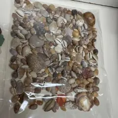 貝殻 シーグラス 340g 海の素材まとめ売り　大量