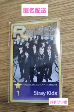 シュスジェ SSJYP リアルカード オール 8人 Stray Kids スキズ