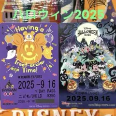 ディズニー　リゾートライン　フリーきっぷ　ハロウィン　2枚