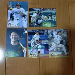 金丸夢斗 中日ドラゴンズ 直筆サイン色紙 春季キャンプ キャンプ限定