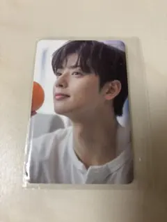 2025年最新】ordinary holiday astroの人気アイテム - メルカリ