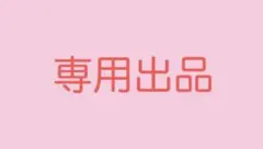 専用出品