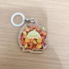 ぴよりん　JR推し旅　 アクリルキーホルダー　めじるしチャーム