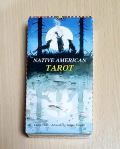 Native American Tarot タロットカード