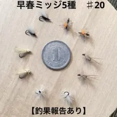 Item thumbnail for item a408104a-1496-4416-8573-ec43e0a9ff36