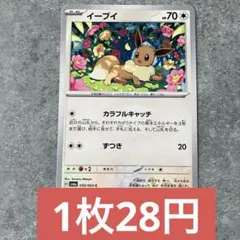イーブイ カラフルキャッチ
