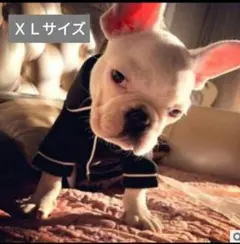 Item thumbnail for item bb74b967-c4fe-4452-8bbc-8af7395c1cc2