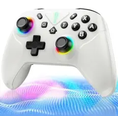 新品 未使用 Switch コントローラー ダブルホールスティック 連射機能