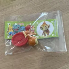 ポケモン　チョコエッグ　旅立ちの3匹　ヒコザル