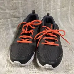 Item thumbnail for item f1cf57c8-37fd-47d3-983b-e97ef1bafd66