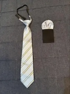 Item thumbnail for item d591ba06-be0f-48ca-8ee3-41cb43b13ea1