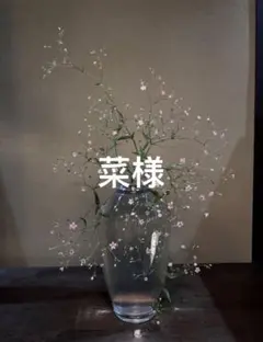 菜様　ライトグレーS