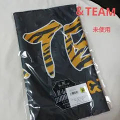 Item thumbnail for item b0f30a51-4fe9-456f-a5db-8d0d449c95c8