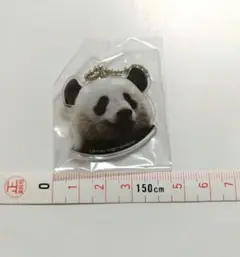 非売品 記念バッチ 上野動物園 パンダ シャンシャン 香香 誕生記念
