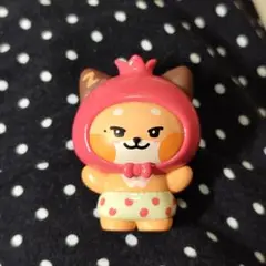 ゼロニ テュニニ 正規品