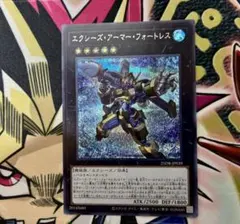 25DB エクシーズ・アーマー・フォートレス シクエクシーズアーマーフォートレス