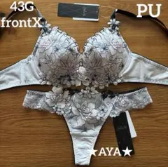 最新作 サルート 43 PU フロントエックスブラ&ソング 43G