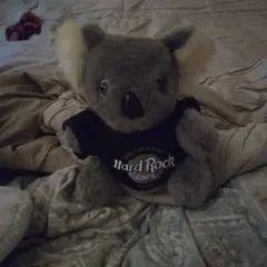 Hard Rock Cafe コアラ ぬいぐるみお尻にタクついてる