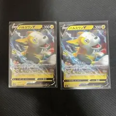 パルスワンV 2枚セットのサムネイル