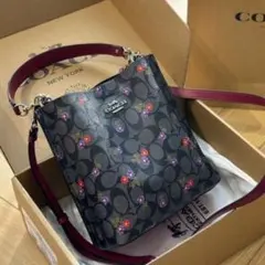 COACH シグネチャー×ストライプ　2way ショルダーバッグ　✨新品未使用✨