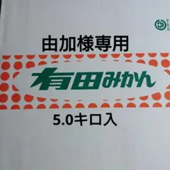 由加様専用 木熟宮川早生 3〜2S 5.0キロ入り 19−5