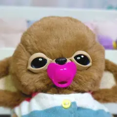 チワボボちゃん①　うたたねちゃん　おしゃぶり付き　アートドール　ぬいぐるみ 2026年最新】チワボボの人気アイテム - メルカリ
