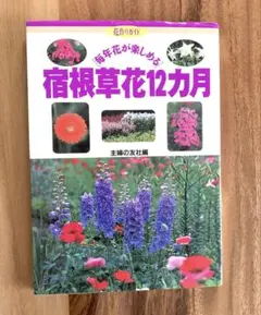 Item thumbnail for item 596ffdc0-afd1-4d4b-a68d-cbdc3ef1a6ad