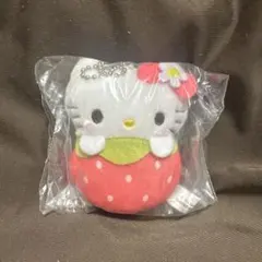 サンリオキャラクターズ いちごおくるみ ハローキティのサムネイル