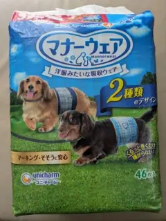 Item thumbnail for item 726f8b45-7fd8-4c40-9bad-120b1cfc724a