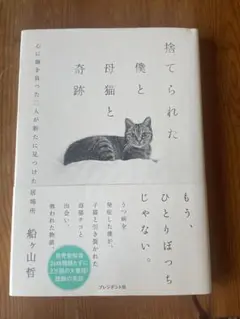 捨てられた僕と母猫と奇跡 : 心に傷を負った二人が新たに見つけた居場所