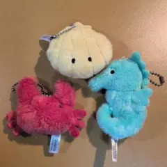 田中様 リクエスト 3点 まとめ商品