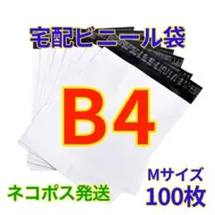 Item thumbnail for item 5b7a8c72-9058-4c30-9975-6386f89093a7