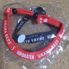 浦和レッズ ブレス マリウス・ホイブラーテン