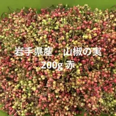 庭の花山椒　100グラム　無農薬 本日　メルカリ便で発送 Amazon.co.jp: 【イーオロシー】本場中国産 生の山椒の実 無添加