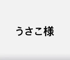 うさこ様☆4点セット