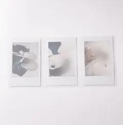 2025年最新】SLH チェキの人気アイテム - メルカリ