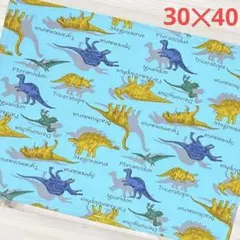 ランチョンマット 20×30 ランチクロス 給食ナフキン 2枚セット 恐竜柄