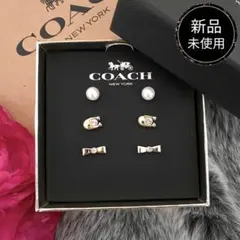 2026年最新】coachピアス新品の人気アイテム - メルカリ