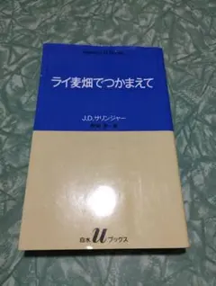 ライ麦畑でつかまえて