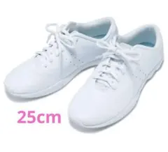 Item thumbnail for item 2eeed042-4e04-47d7-8942-e28864e4502d