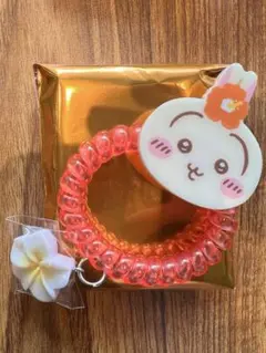 【匿名配送】シーサーのおみやげやさん トレーディングコイルヘアゴム　うさぎ