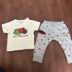 FRUIT OF THE LOOM Tシャツと恐竜柄パンツセット 90のサムネイル