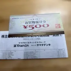 ヤマダホールディングス お買物優待券 ¥500
