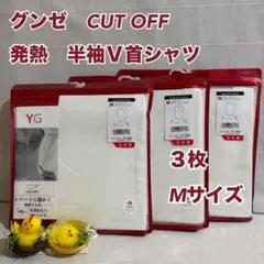 G17　グンゼ　メンズ　天竺　半袖Ｖ首シャツ　3枚　 M　肌着　下着　インナー