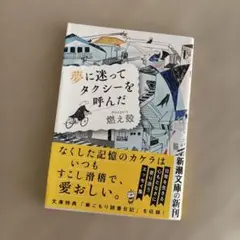 夢に迷ってタクシーを呼んだ