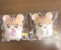 とっとこハム太郎 かぷっこふれんず ガチャ トラハムくん トラハムちゃん セット