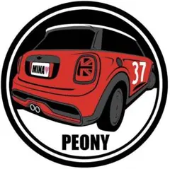 アルフィエーリ様専用　ミニ　クーパーs ドライブレコーダー　ステッカー