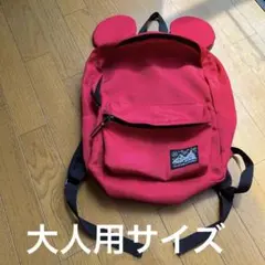 限定品！ディズニーリゾート限定耳付き リュック