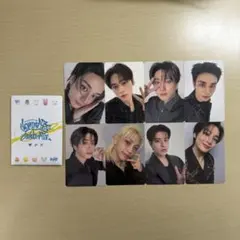 Straykids アンコン stayzone トレカ コンプ